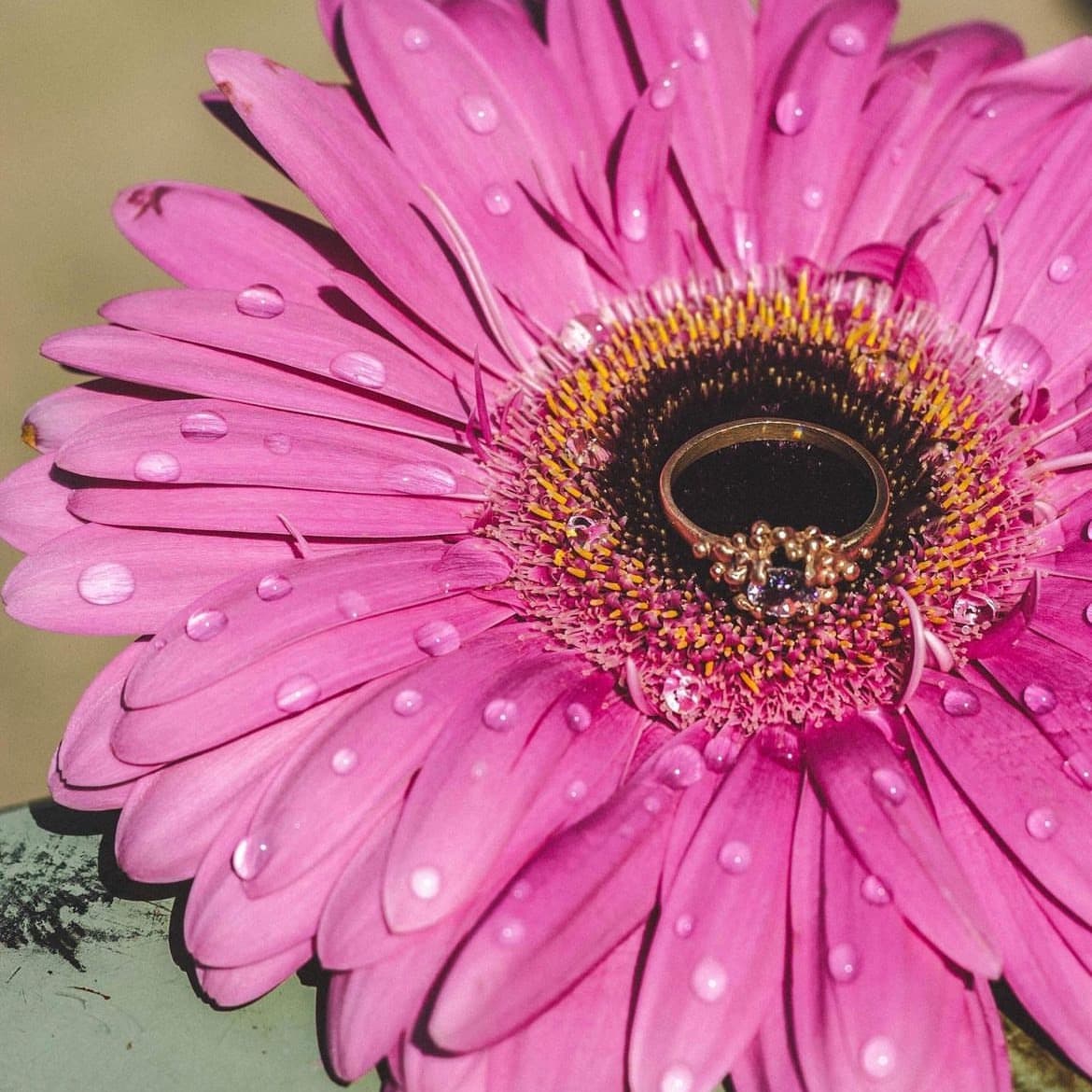 undefined - image 11