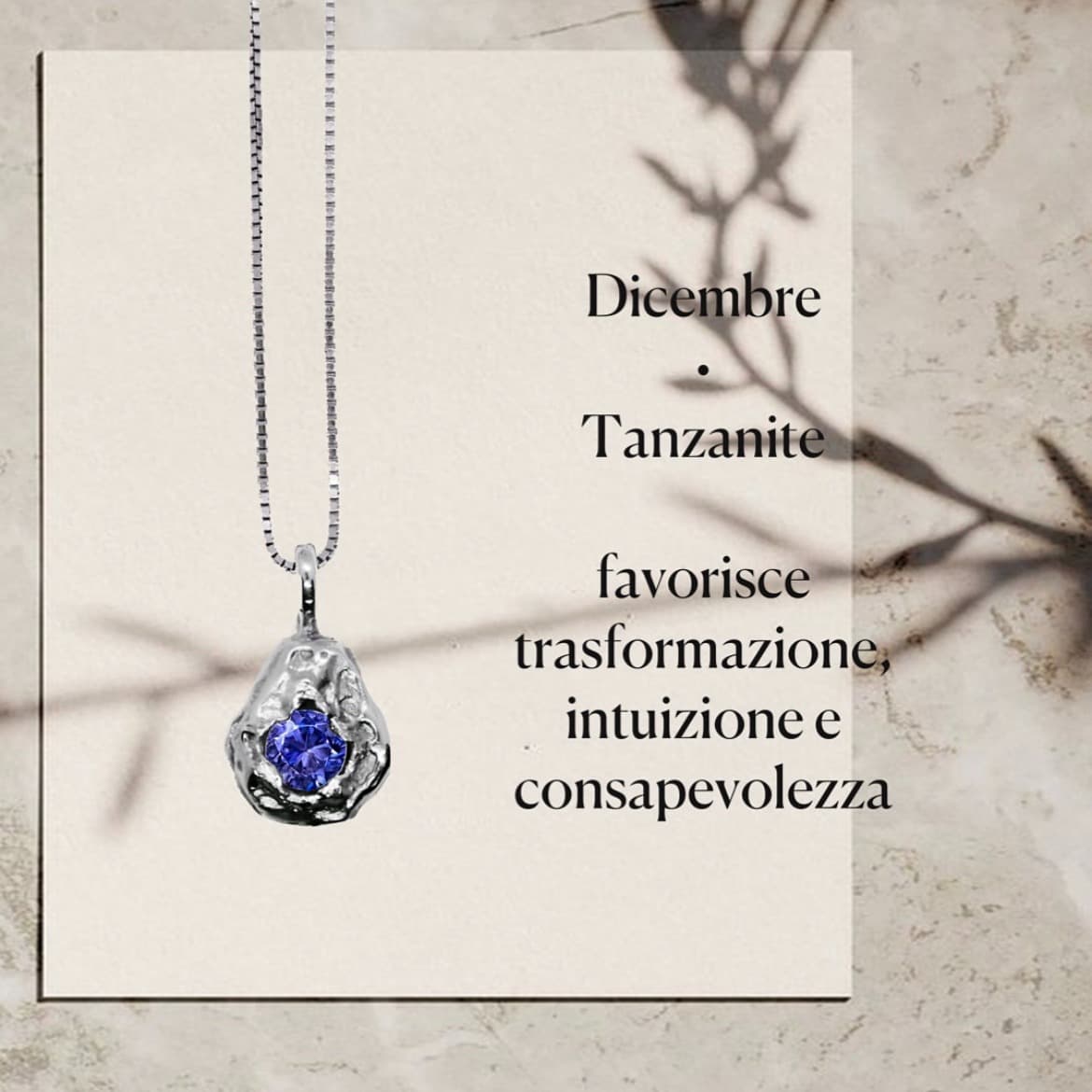 undefined - image 14